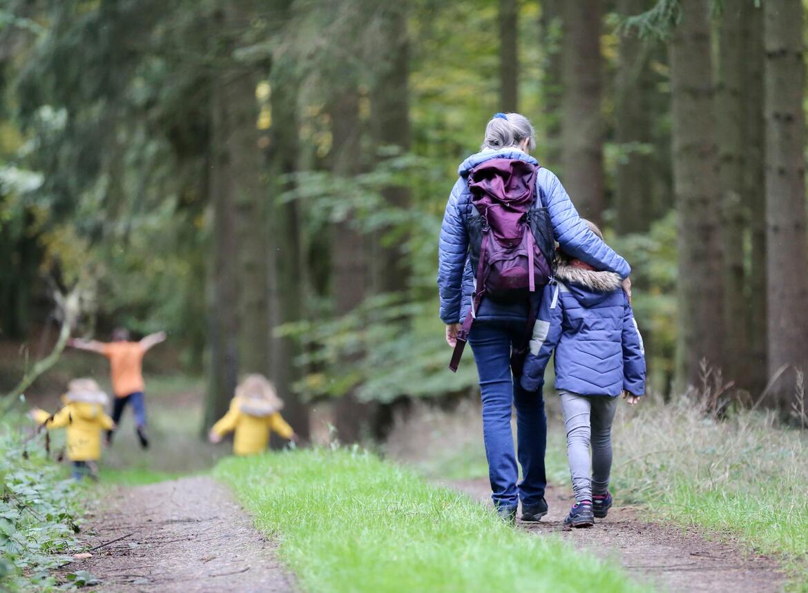 A family walking in the woods