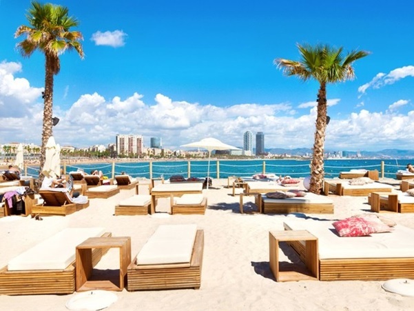 Holiday resort with palm tree, ocean and sunbeds