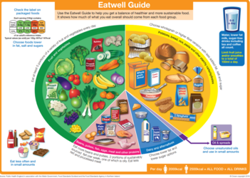 Colourful chart with different foods separated into different food groups, titled eat well guide. 